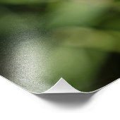 Blume aus weißem Löwenzahn auf grünem Gras Fotodruck (Ecke)