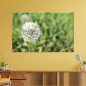 Blume aus weißem Löwenzahn auf grünem Gras Leinwanddruck (Insitu (Wohnzimmer))