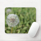 Blume aus weißem Löwenzahn auf grünem Gras Mousepad (Mit Mouse)