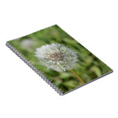 Blume aus weißem Löwenzahn auf grünem Gras Notizblock (Rechte Seite)