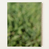 Blume aus weißem Löwenzahn auf grünem Gras Planer (Rückseite)