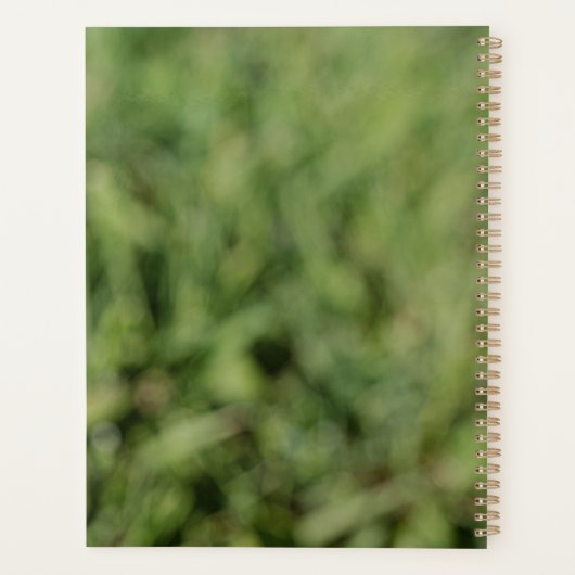 Blume aus weißem Löwenzahn auf grünem Gras Planer (Rückseite)