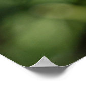 Blume aus weißem Löwenzahn auf grünem Gras Poster (Ecke)