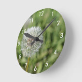 Blume aus weißem Löwenzahn auf grünem Gras Runde Wanduhr (Winkel)