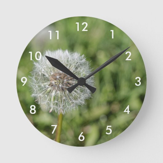 Blume aus weißem Löwenzahn auf grünem Gras Runde Wanduhr (Vorderseite)