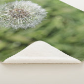 Blume aus weißem Löwenzahn auf grünem Gras Sherpadecke (3/4)