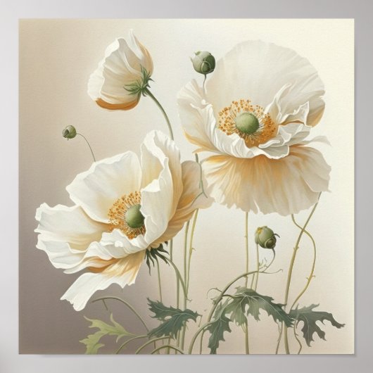 Blume aus weißem Mohn Art Poster drucken (Vorne)