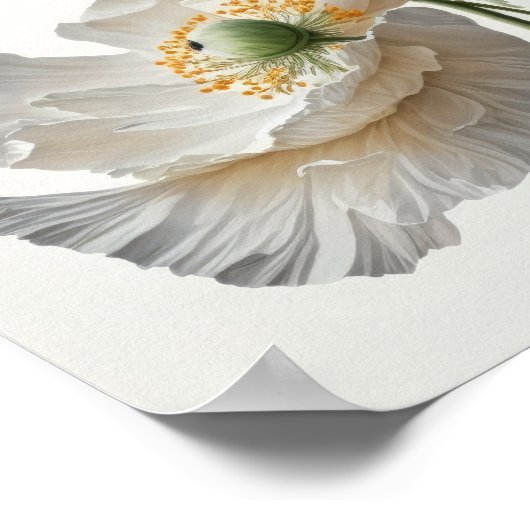 Blume aus weißem Mohn Art Poster drucken (Ecke)