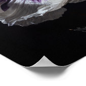 Blume aus weißem Orientalisch Mohn Art Pfoster dru Poster (Ecke)