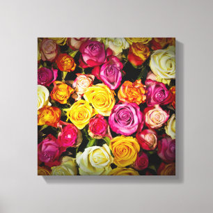 Blume aus weißem, rosafarbenen Rosen Leinwanddruck