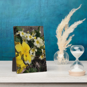 Blume aus weißem und gelbem Garten Fotoplatte