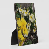 Blume aus weißem und gelbem Garten Fotoplatte (Seite)