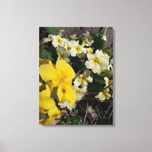 Blume aus weißem und gelbem Garten Leinwanddruck