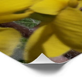 Blume aus weißem und gelbem Garten Poster (Ecke)