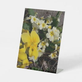 Blume aus weißem und gelbem Garten Sockelschild