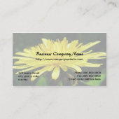 Blume aus wildem Löwenzahn Visitenkarte (Rückseite)