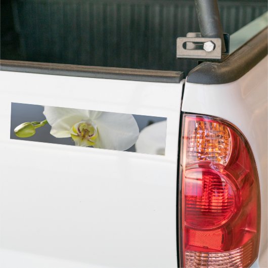 Blume Autoaufkleber (Auf Lkw)