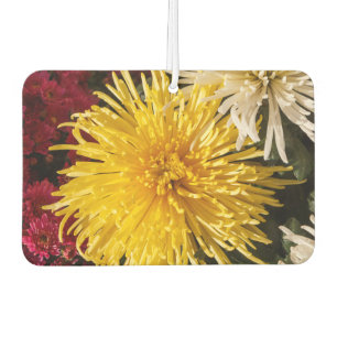 Blume Autolufterfrischer