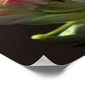 Blume Azalea Poster (Ecke)