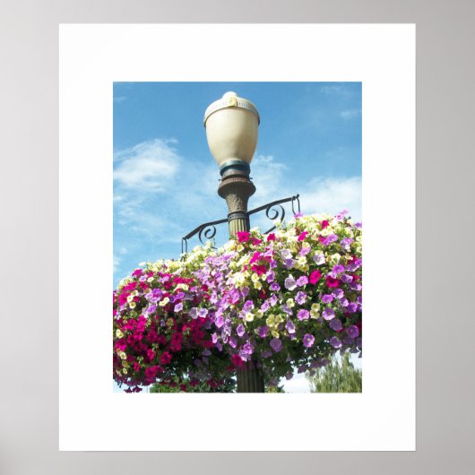 Blume Baskets Poster (Vorne)