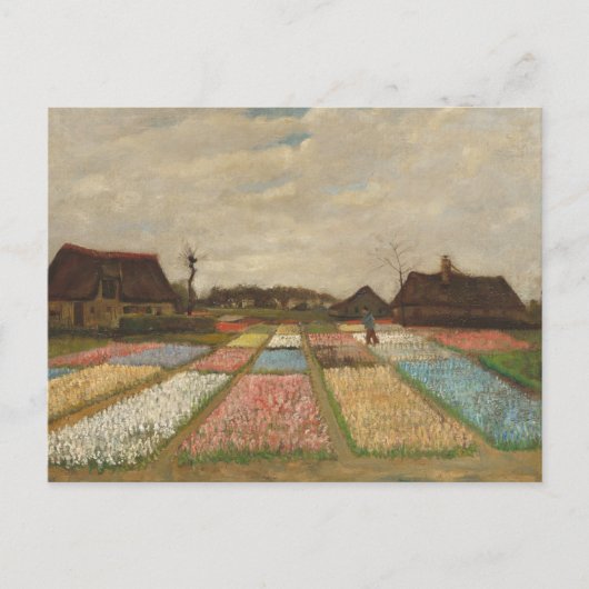 Blume Beds in Holland von Vincent Van Gogh Postcar Postkarte (Vorderseite)