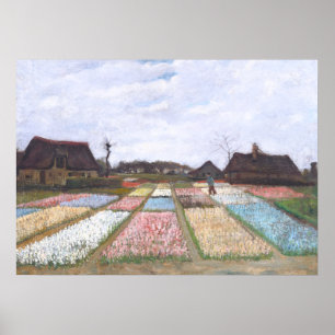 Blume Beds in Holland von Vincent van Gogh Poster