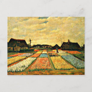 Blume Beds in Holland von Vincent van Gogh Postkarte