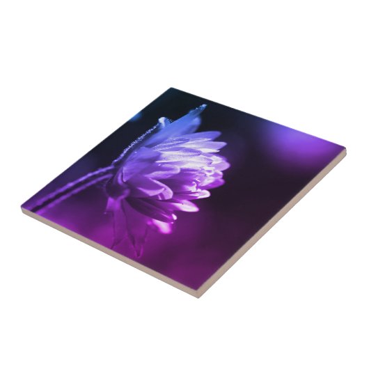 Blume bei hell-schwarz-weiß Farbton Fliese (Seite)