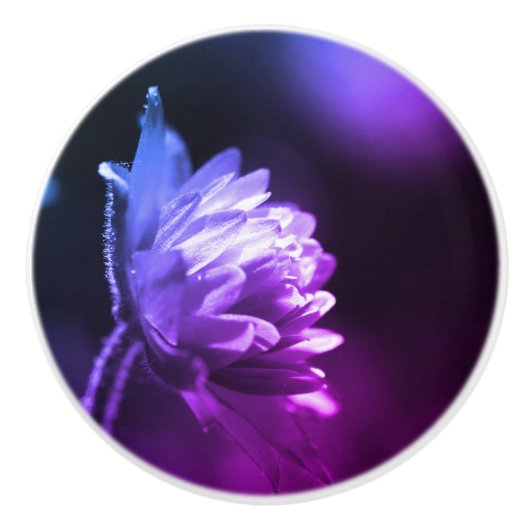 Blume bei hell-schwarz-weiß Farbton Keramikknauf (Vorderseite)