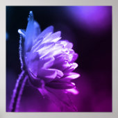 Blume bei hell-schwarz-weiß Farbton Poster (Vorne)