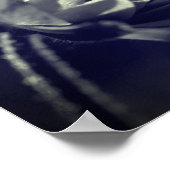 Blume bei Sonnenlicht in Schwarz und Weiß Poster (Ecke)