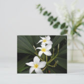 Blume - Bellingrath Botanischer Garten Postkarte (Stehend Vorderseite)