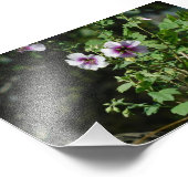 Blume beobachten fotodruck (Ecke)