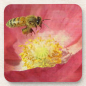 Blume Biene und Mohn Getränkeuntersetzer (Vorderseite)