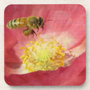 Blume Biene und Mohn Getränkeuntersetzer