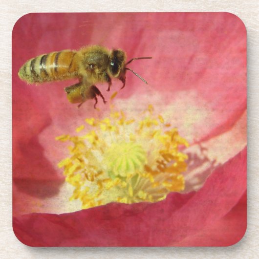 Blume Biene und Mohn Getränkeuntersetzer (Vorderseite)