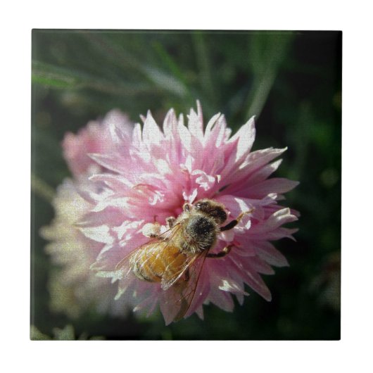 Blume Bienen und Rosa Fliese (Vorderseite)