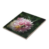 Blume Bienen und Rosa Fliese (Seite)