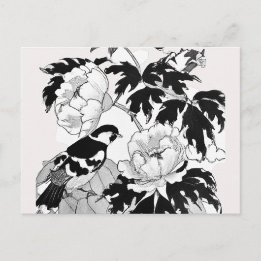 Blume Bird Black und White Postcard Postkarte (Vorderseite)