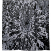 Blume Black and Gray Dahlia Duschvorhang (Vorderseite)