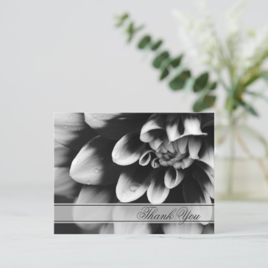 Blume Black and White Dahlia Danke Postkarte (Stehend Vorderseite)