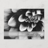 Blume Black and White Dahlia Danke Postkarte (Vorderseite)