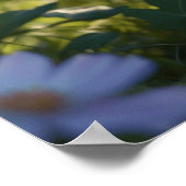 *~* Blume Black Kitty Cat 5:4 Feline Kitten Poster (Ecke)