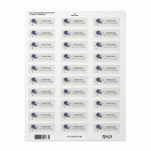 Blume Blaue Weintrauben Botanisch (Vorne)