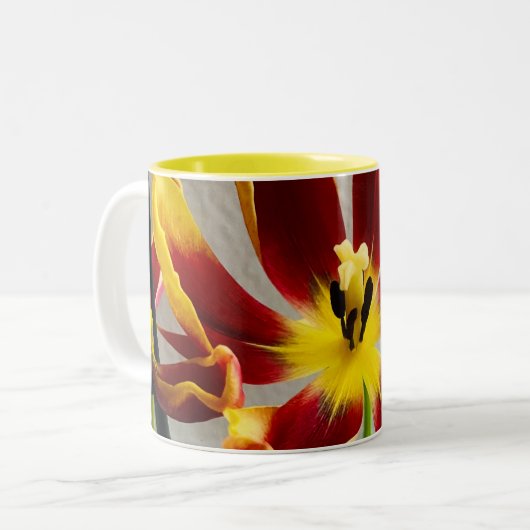 Blume Bloom Zweifarbige Tasse (Vorderseite Links)