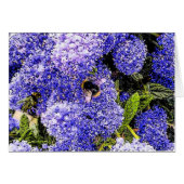 Blume Blossom Bee (Vorderseite (Horizontal))