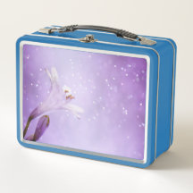 Blume Blossom Bloom Botany Petals Flora Natur