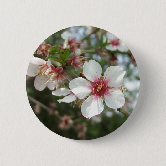 Blume-Blossom-Taste Button (Vorderseite)