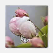 Blume Blossom und Raindrop Magnet (Vorne)