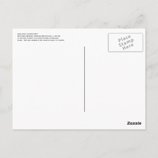 Blume blüht auf der Insel Unalaska Postkarte (Rückseite)